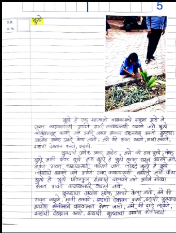 Neem Tree